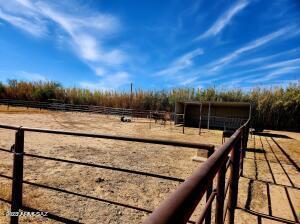 1855 West Patton Street St. David, AZ 85630 - Photo 30 of 41 Pasture & Cvd. shade.