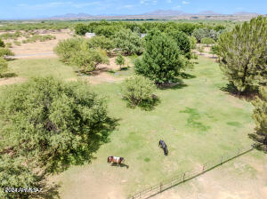 1855 West Patton Street St. David, AZ 85630 - Photo 32 of 41 Irrigated Pasture