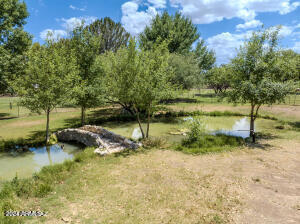 1855 West Patton Street St. David, AZ 85630 - Photo 33 of 41 Duck Pond