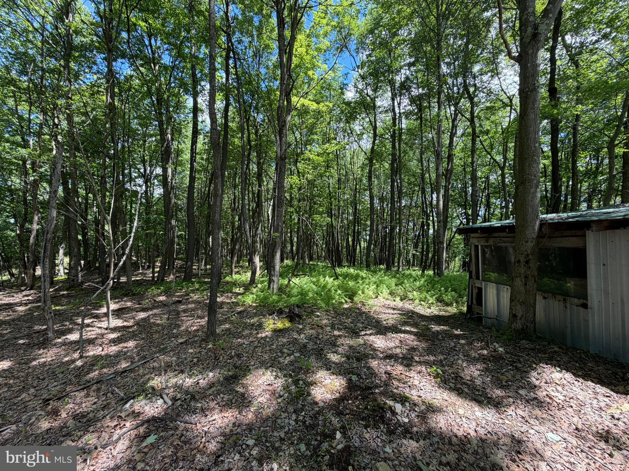 848 Sugar Camp Road Clearfield, PA 16830 - Photo 83 of 118