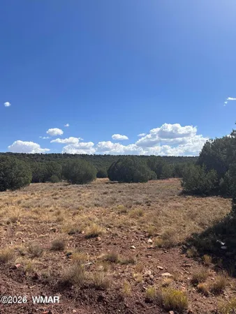 $25,000 | 343-344 Cr 8295 Concho Az 85924, Concho, AZ 85924