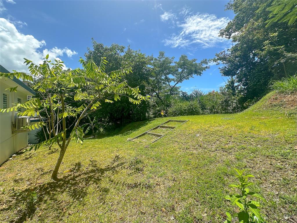 349 Bravos Vieques, PR 00765 - Photo 30 of 41 Gallery Image 30