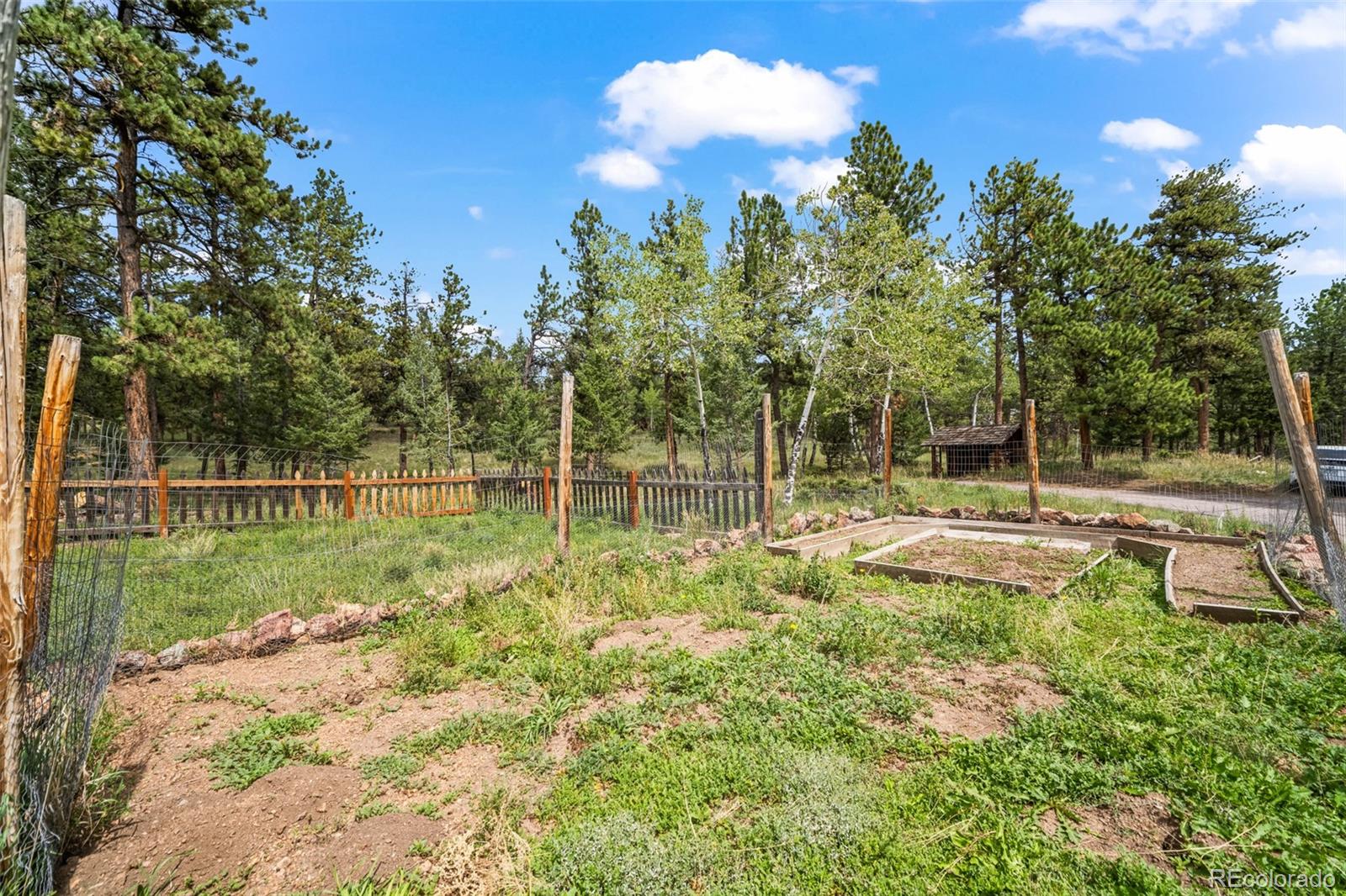 1231 Nova Road Pine, CO 80470 - Photo 45 of 48 Gallery Image 45