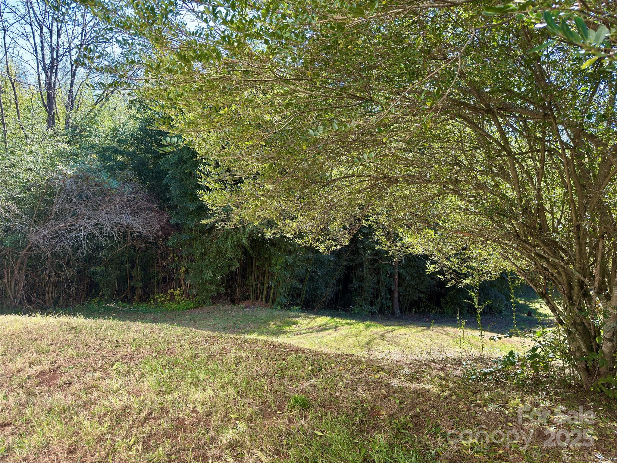 658 Emma Road Asheville, NC 28806 - Photo 27 of 30