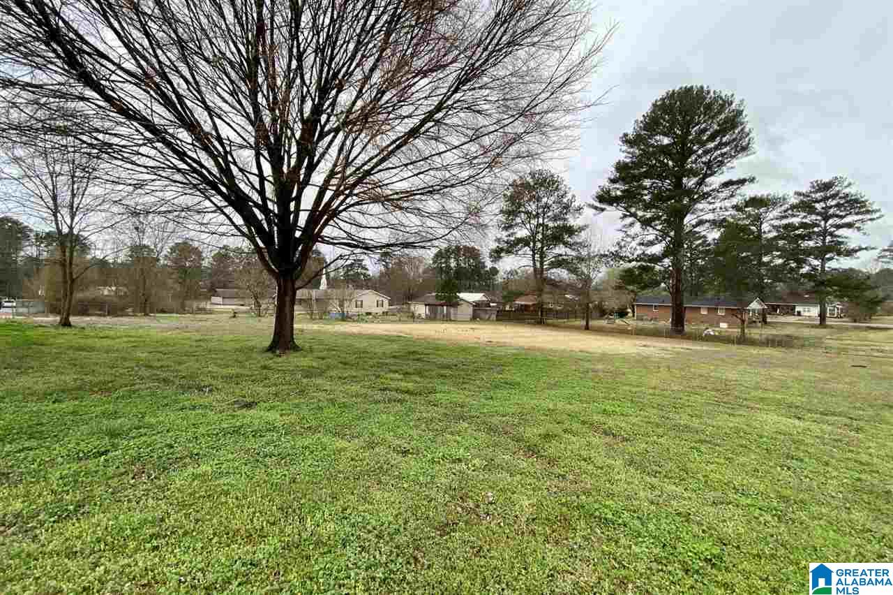 1103 Alexandria Road Weaver, AL 36277 - Photo 50 of 50
