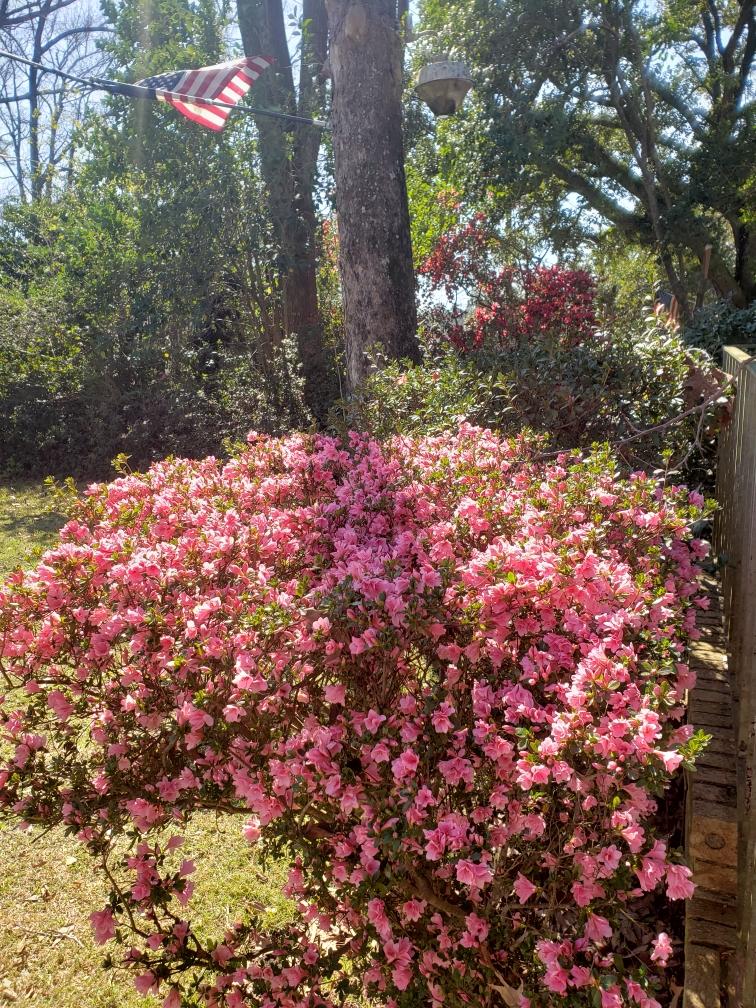 2912 Otranto Road North Charleston, SC 29406 - Photo 20 of 20 2912 Otranto Rd Summer Pic 4