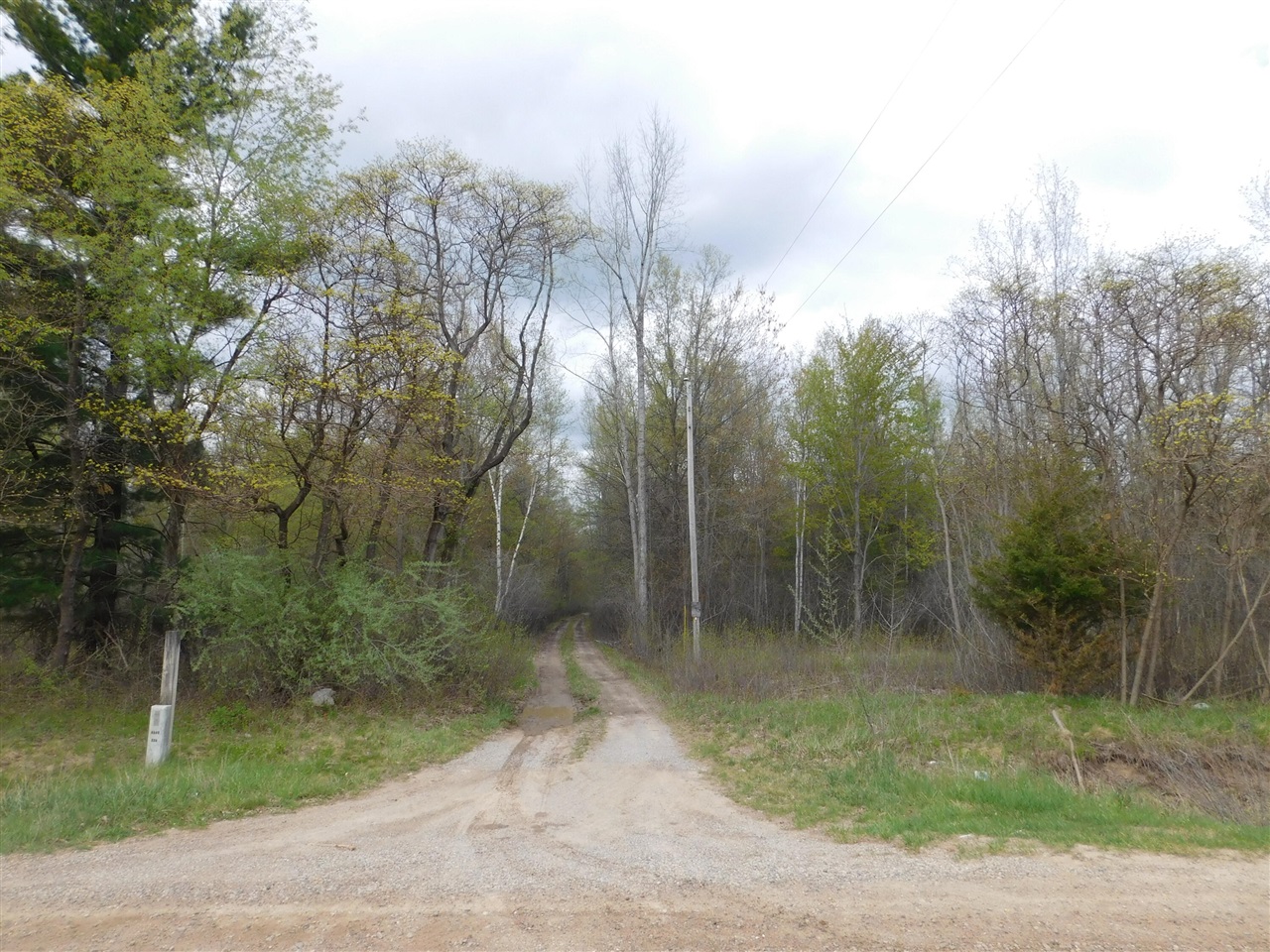 14540 Schroeder Road St. Charles, MI 48655 - Photo 45 of 45