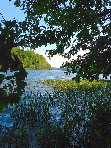 $28,000 | 50 Longwood Drive, Grantham, NH 03753