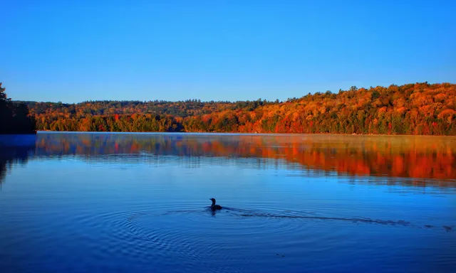 $28,000 | 50 Longwood Drive, Grantham, NH 03753