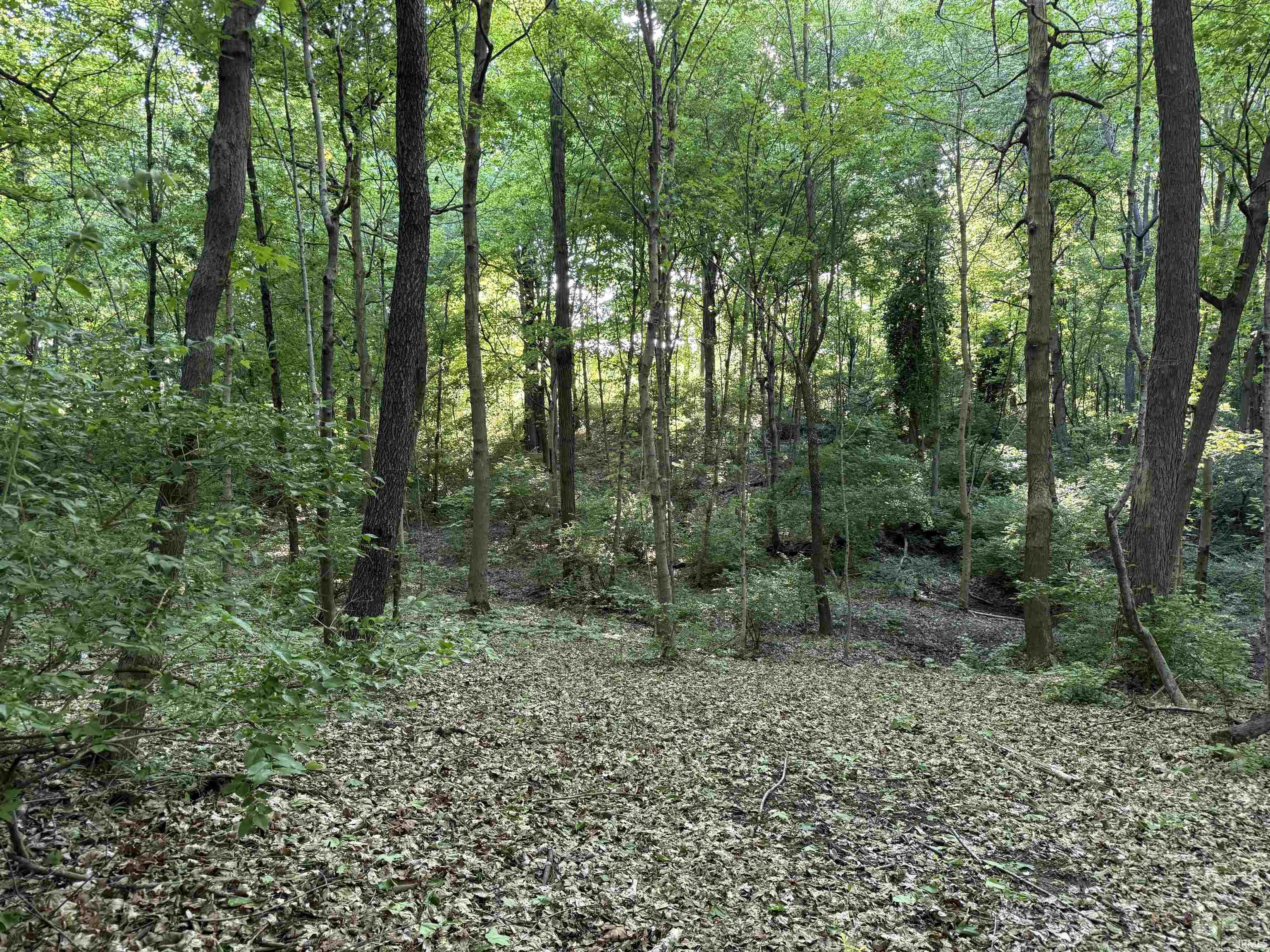 1200 S Road Haubstadt, IN 47639 - Photo 2 of 7