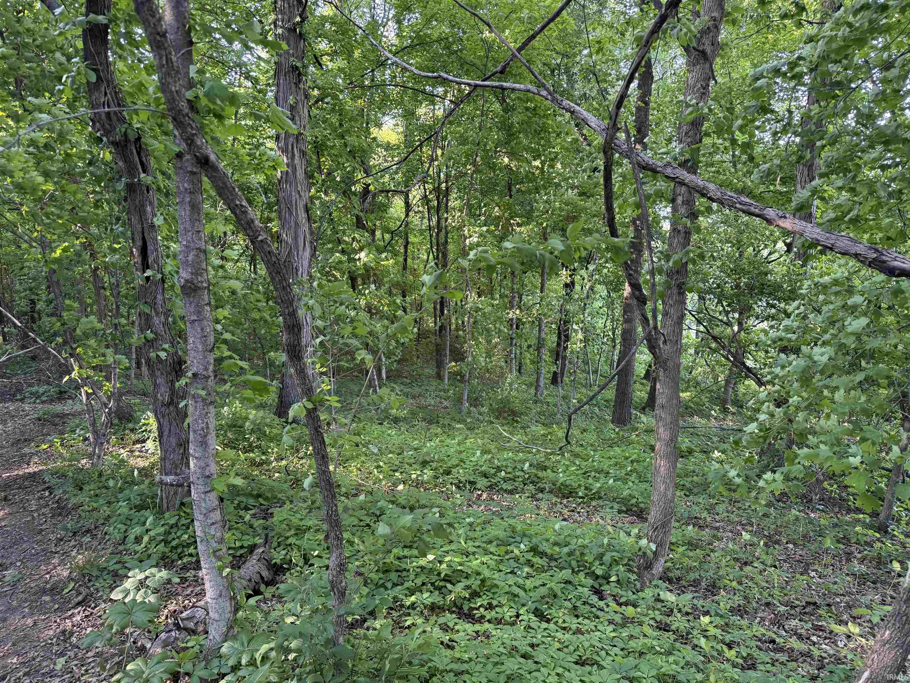 1200 S Road Haubstadt, IN 47639 - Photo 3 of 7