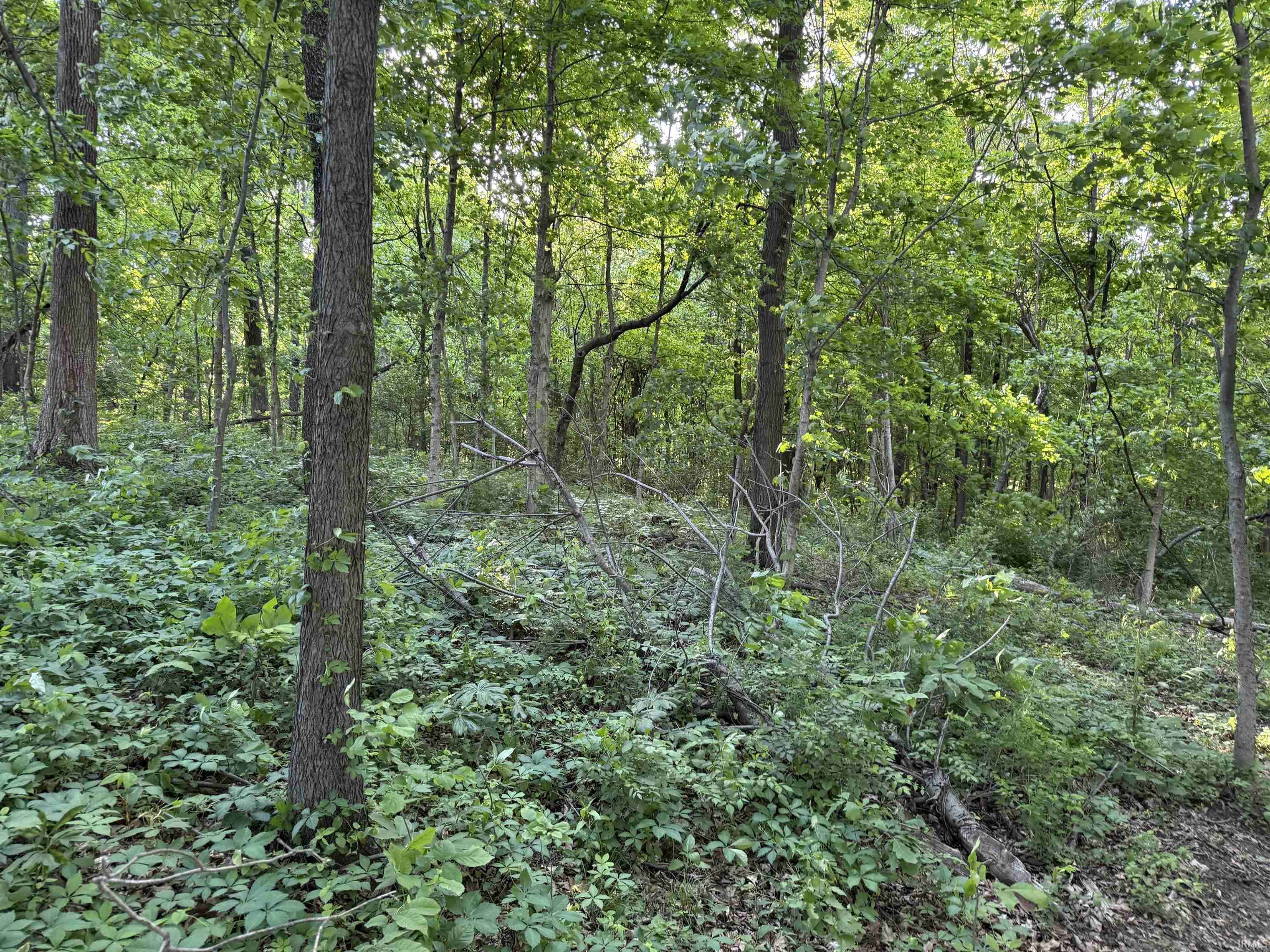 1200 S Road Haubstadt, IN 47639 - Photo 4 of 7