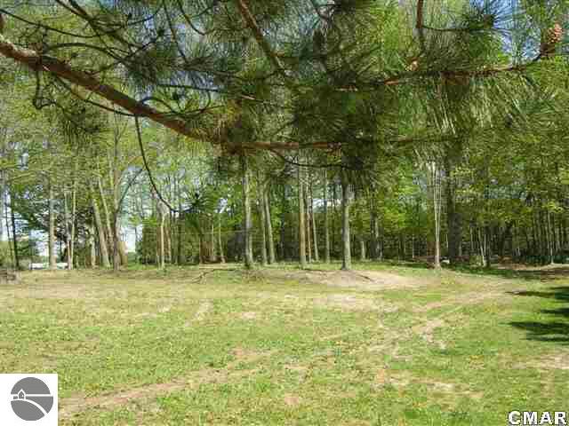 7091 South Sherman Road Blanchard, MI 49310 - Photo 13 of 18 1773134-12.JPG