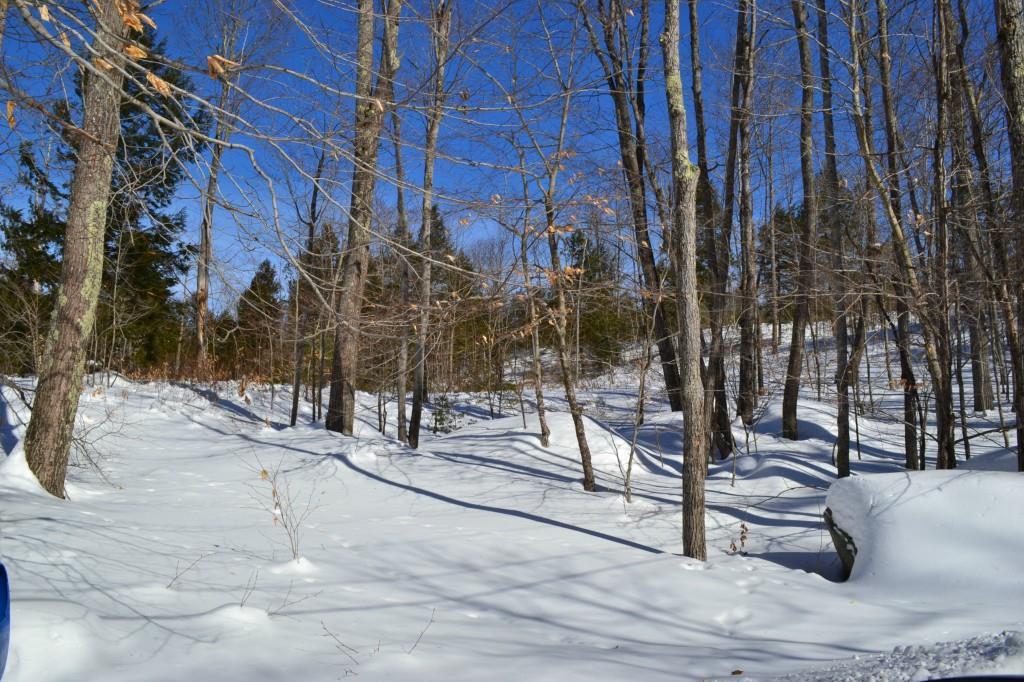 -lot B Ward Road Augusta, ME 04330 - Photo 5 of 6 Photo