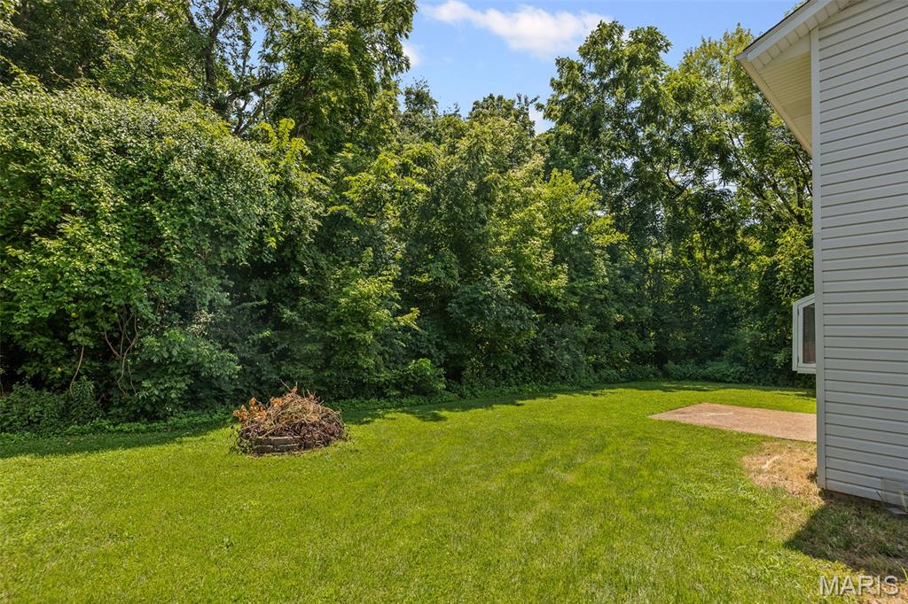 953 Long Branch Road Troy, IL 62294 - Photo 5 of 35 Gallery Image 5