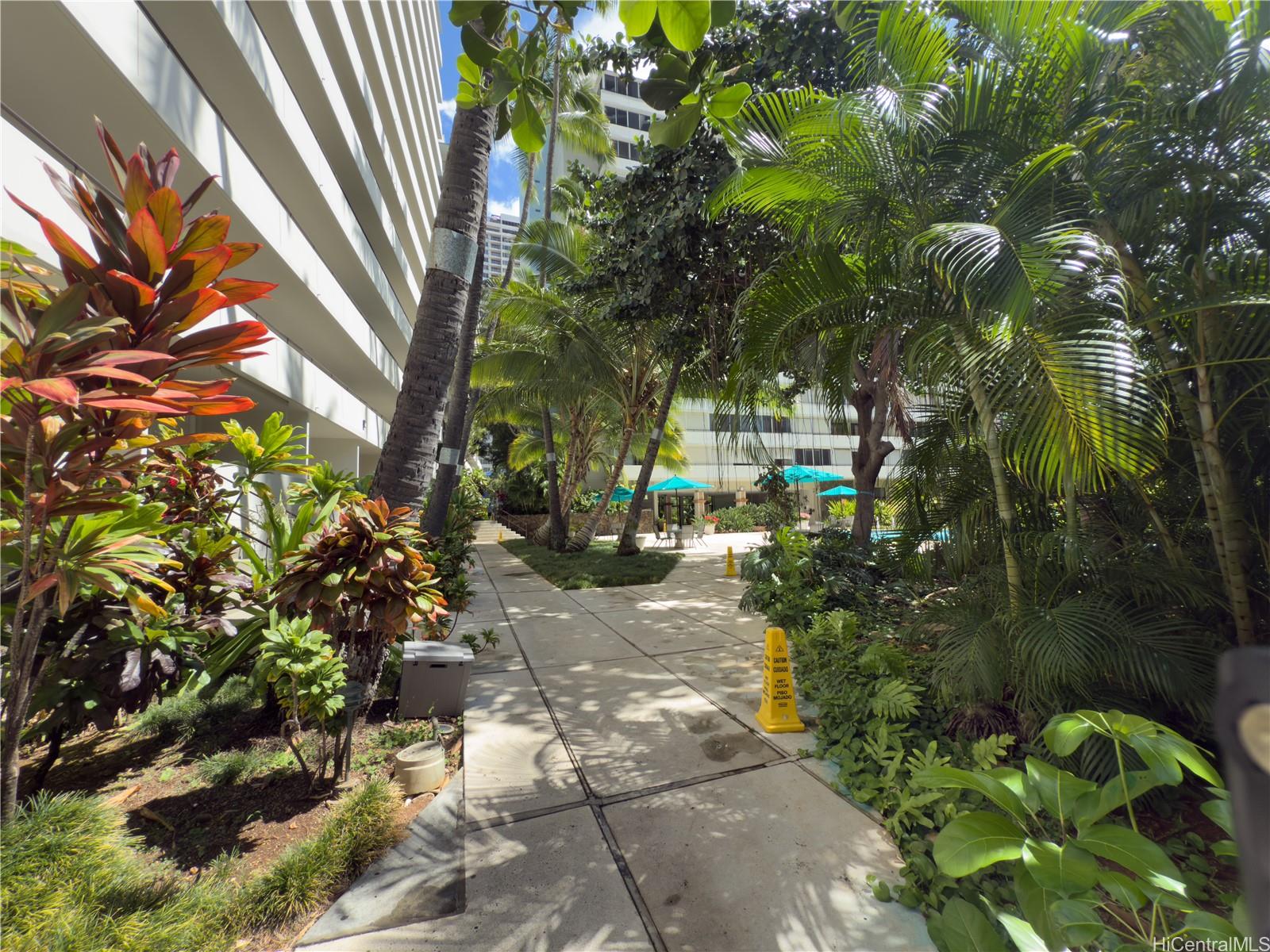 425 Ena Road, Unit 1201B Honolulu, HI 96815 - Photo 13 of 20 a view of path along with potted plants and large trees