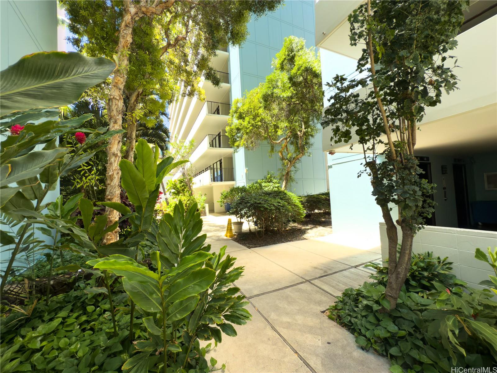 425 Ena Road, Unit 1201B Honolulu, HI 96815 - Photo 14 of 20 a view of a garden with plants