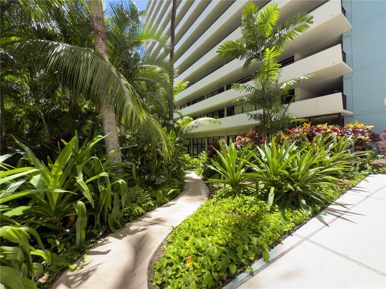 425 Ena Road, Unit 1201B Honolulu, HI 96815 - Photo 18 of 20 a picture of a plant