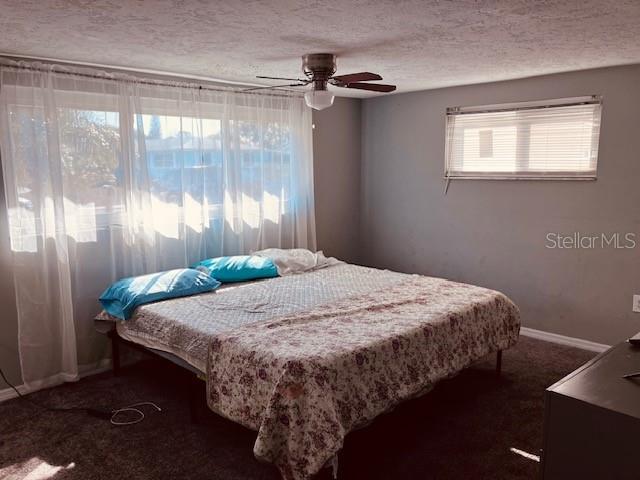 3841 Chaffey Drive New Port Richey, FL 34652 - Photo 8 of 18 a bedroom with a bed and a window