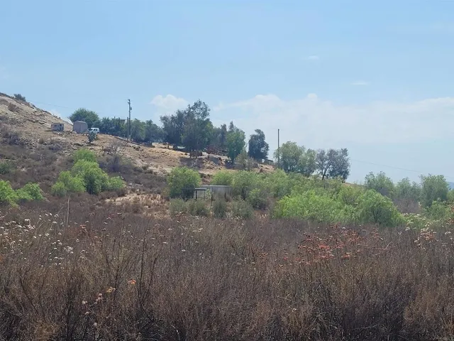 a view of a dry yard with trees in the background