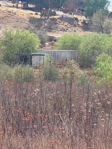 a view of a yard next to a yard