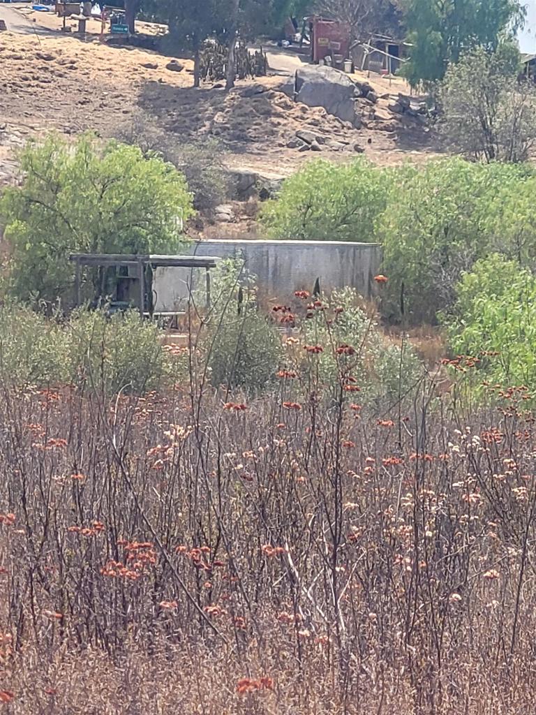 345 Washington Street Ramona, CA 92065 - Photo 4 of 6 a view of a yard next to a yard
