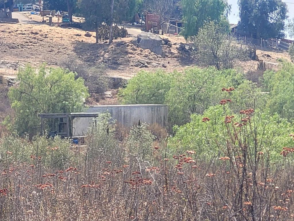 345 Washington Street Ramona, CA 92065 - Photo 5 of 6 a backyard of a house with lots of green space