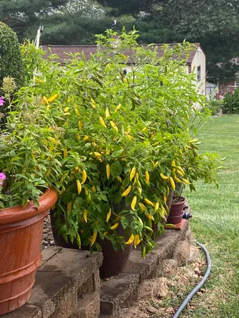 $425,000 | 48 Confederate Street, Verona, VA 24482