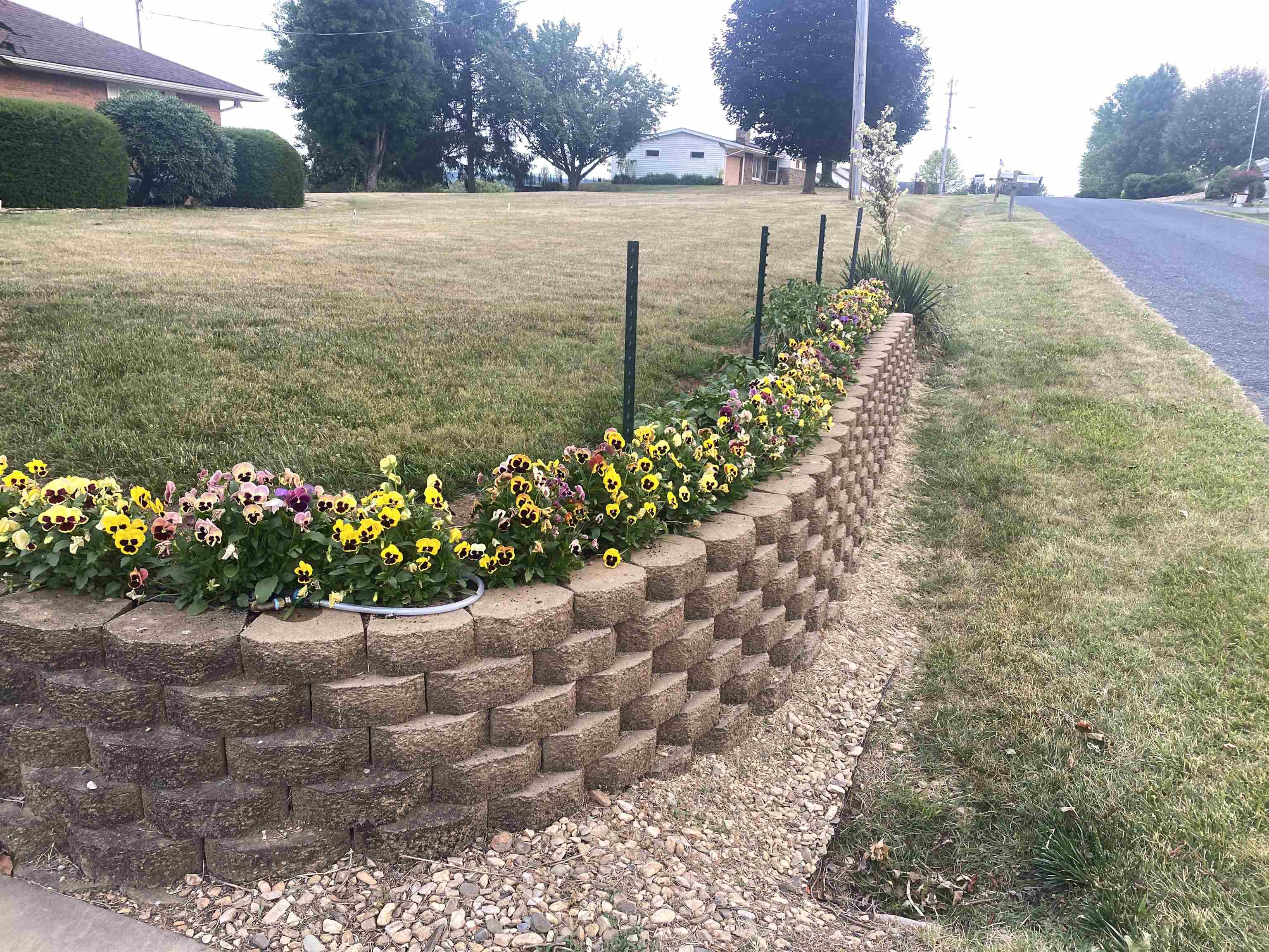 48 Confederate Street Verona, VA 24482 - Photo 42 of 47 a view of a pathway with a yard