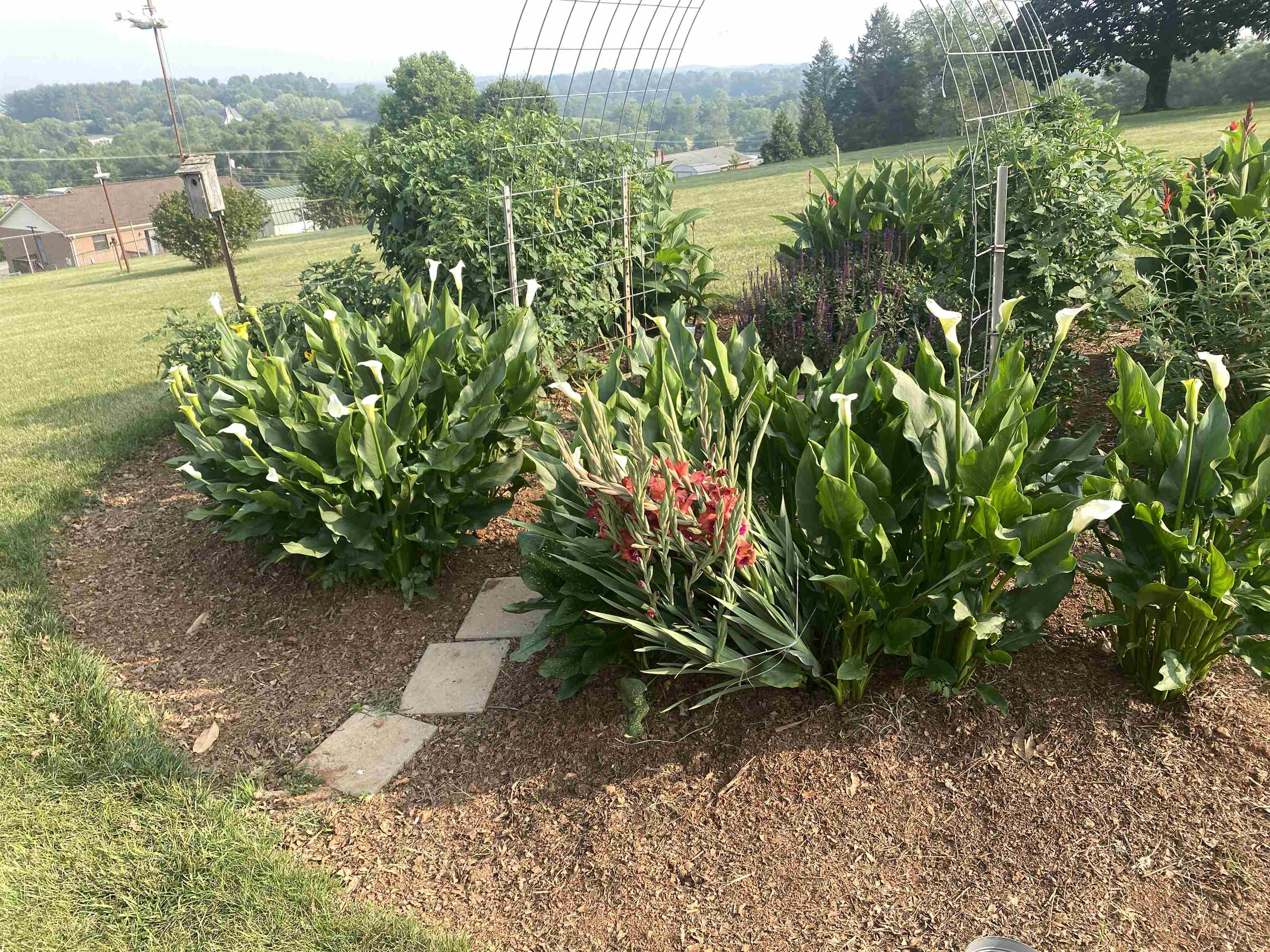 48 Confederate Street Verona, VA 24482 - Photo 44 of 47 a view of a garden with a lake