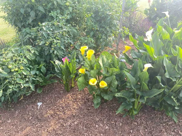 $425,000 | 48 Confederate Street, Verona, VA 24482