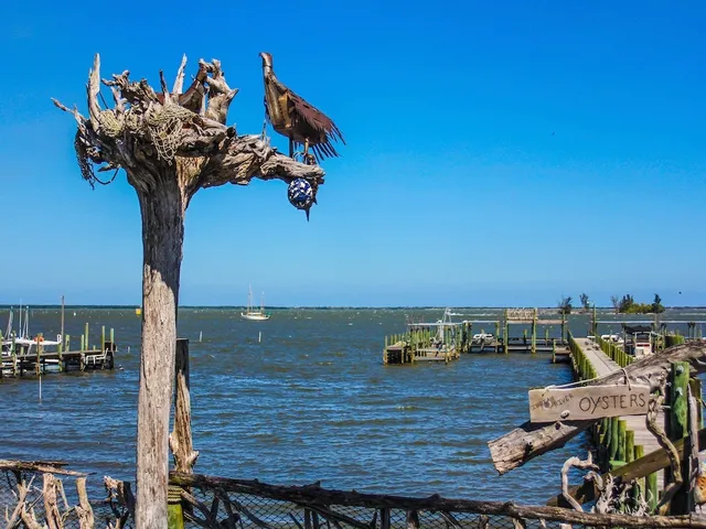 $2,500 | 1379 Scroll Street, Sebastian, FL 32958