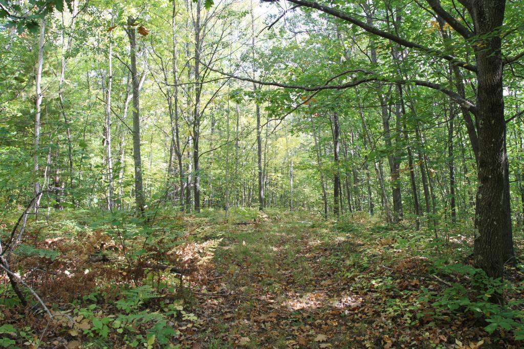 37080 Apostle Bay Road Bayfield, WI 54814 - Photo 14 of 33 Gallery Image 14