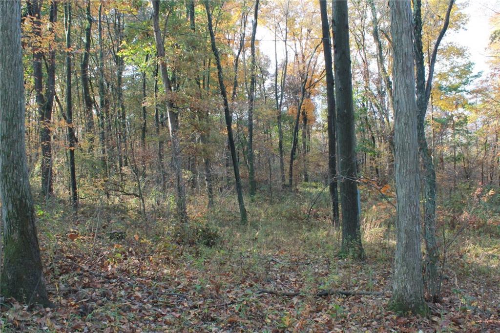 158 Saniga Road Slippery Rock, PA 16057 - Photo 3 of 7 Gallery Image 3