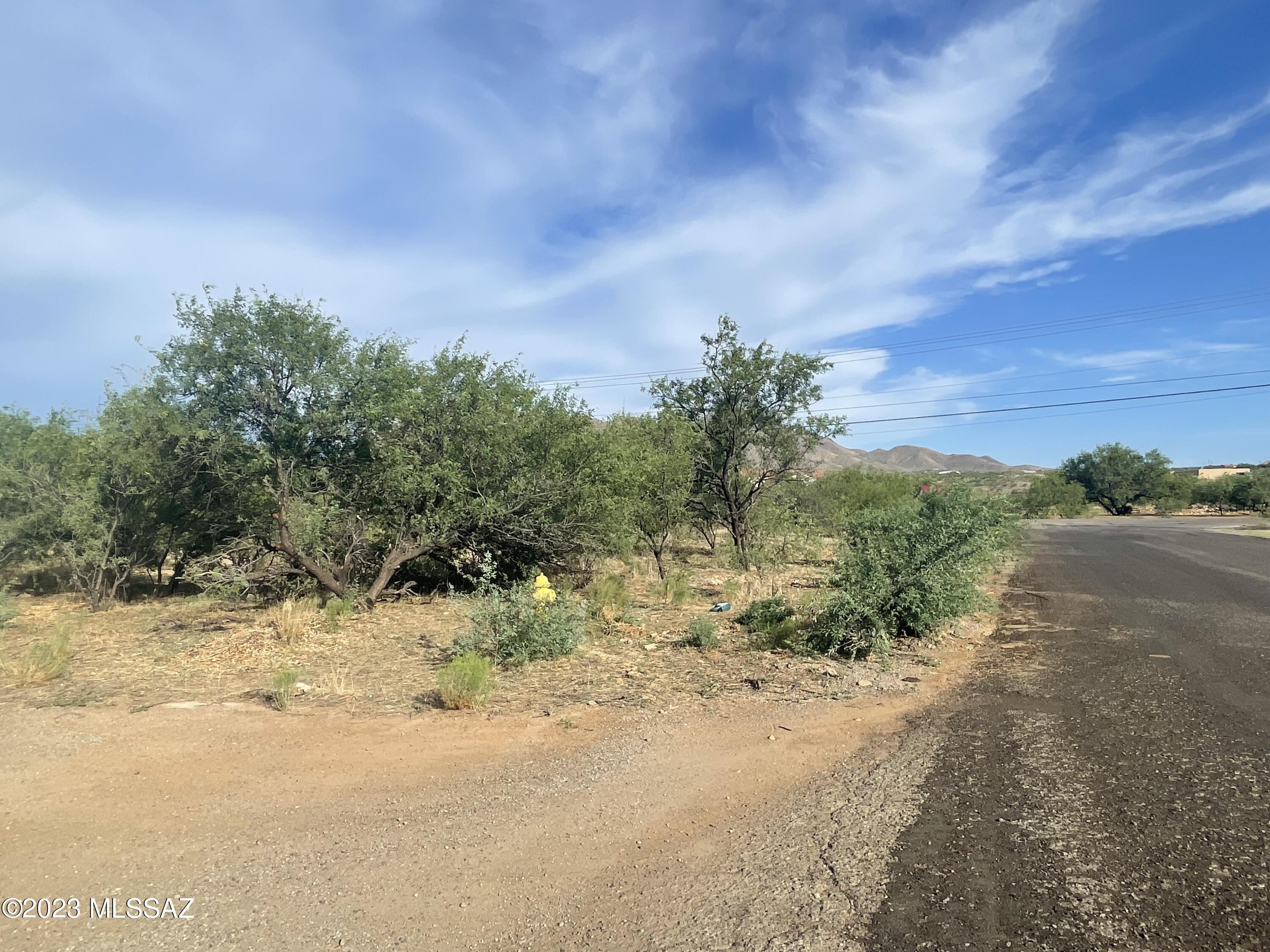 161 Loa Court, Unit 36 Rio Rico, AZ 85648 - Photo 4 of 9