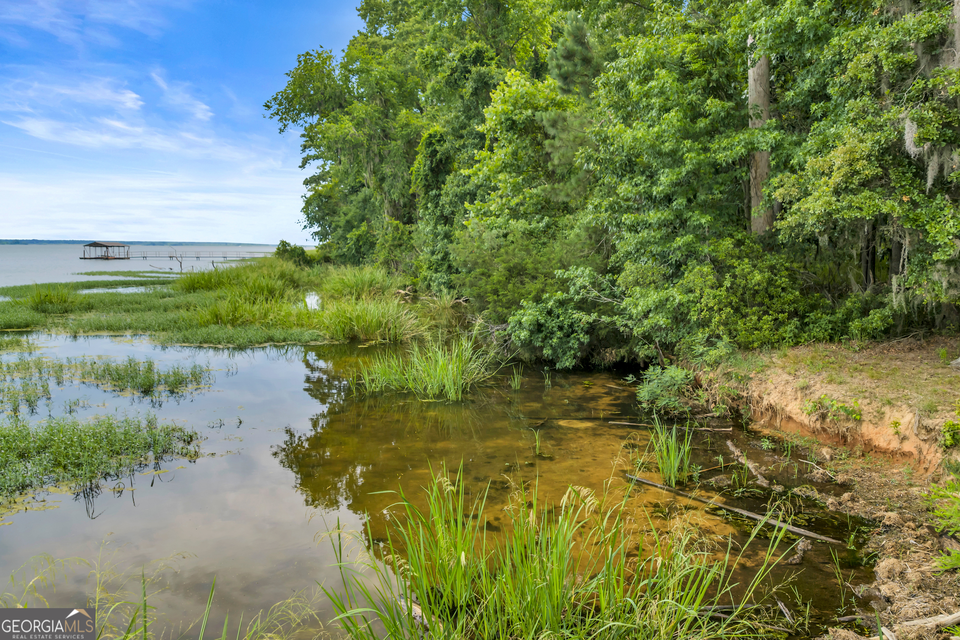 473 Vining Branch Road Georgetown, GA 39854 - Photo 40 of 43 a view of lake