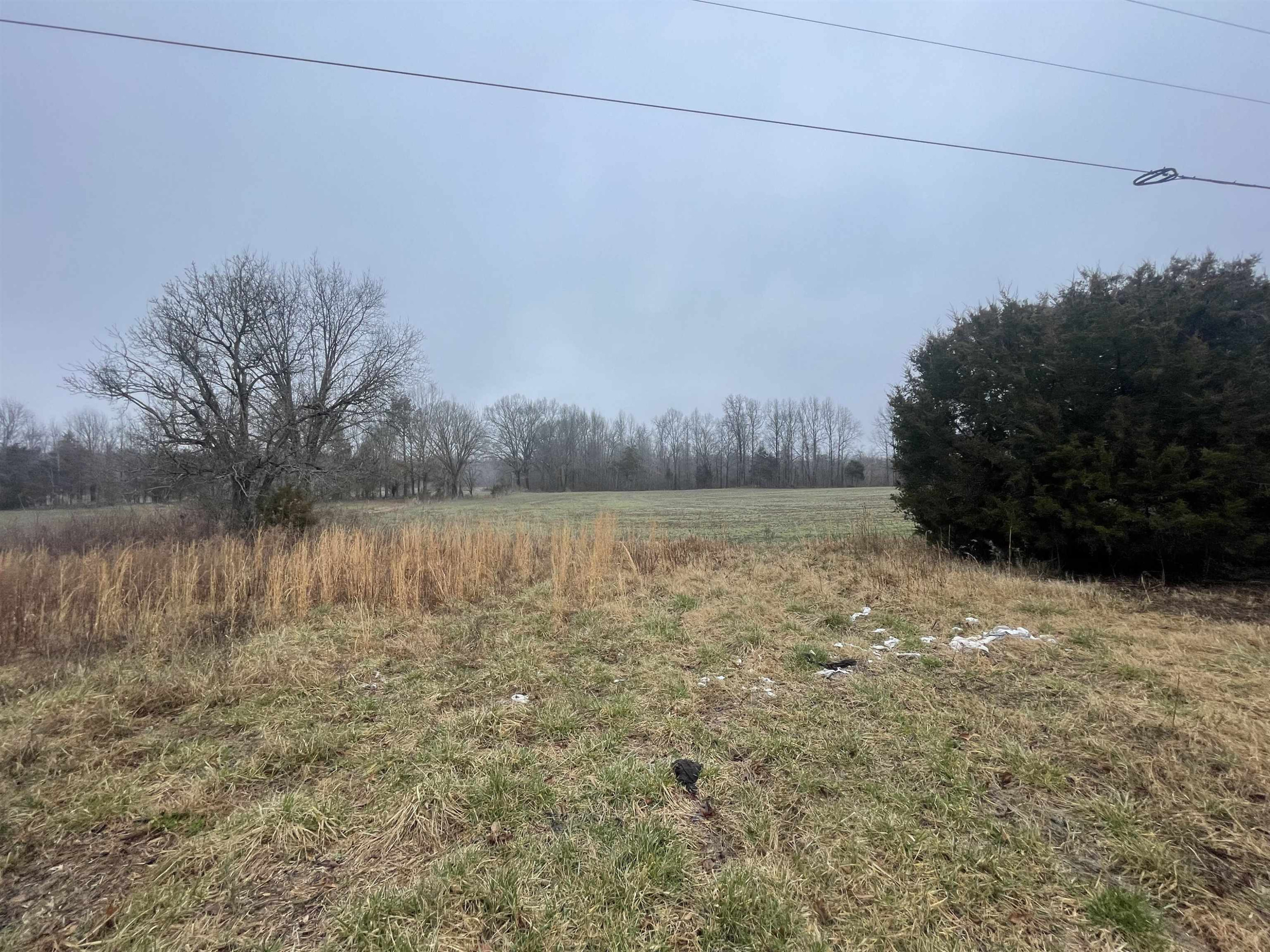 341 Sanderson Road Mercer, TN 38392 - Photo 3 of 17 a view of a lake view