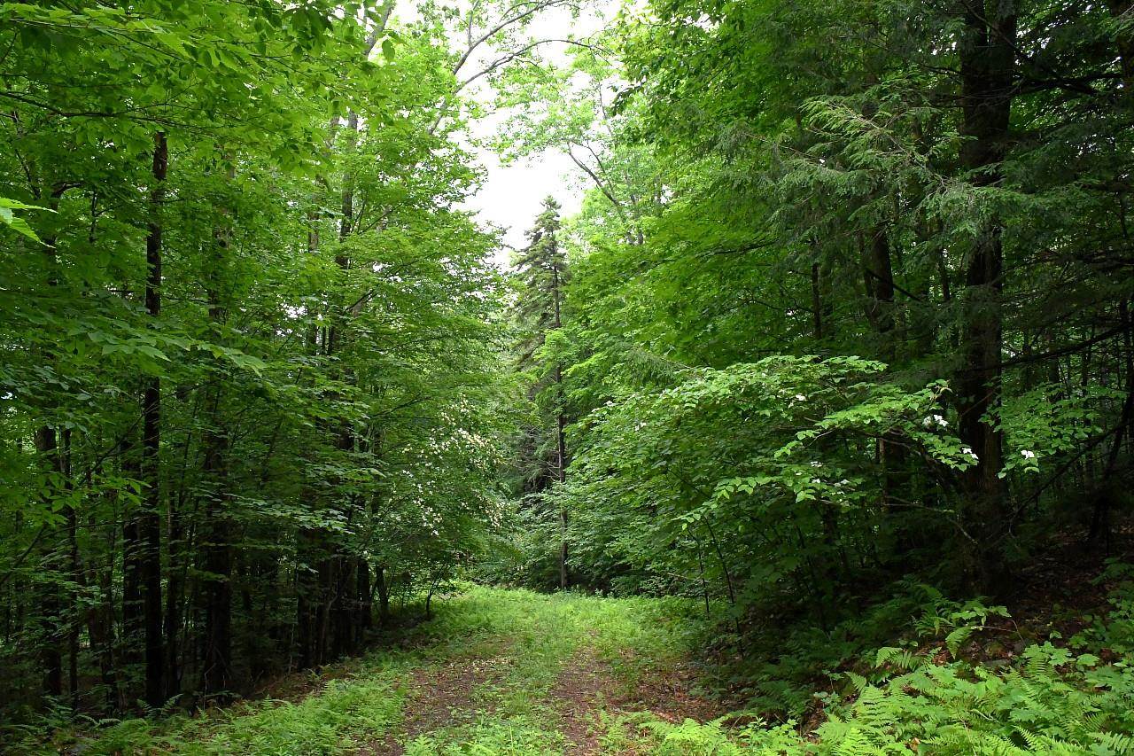 445 Moss Brook Road Peru, VT 05152 - Photo 1 of 13 Gallery Image 1