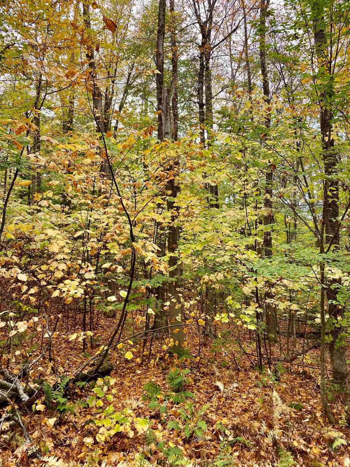 445 Moss Brook Road Peru, VT 05152 - Photo 12 of 13 Gallery Image 12