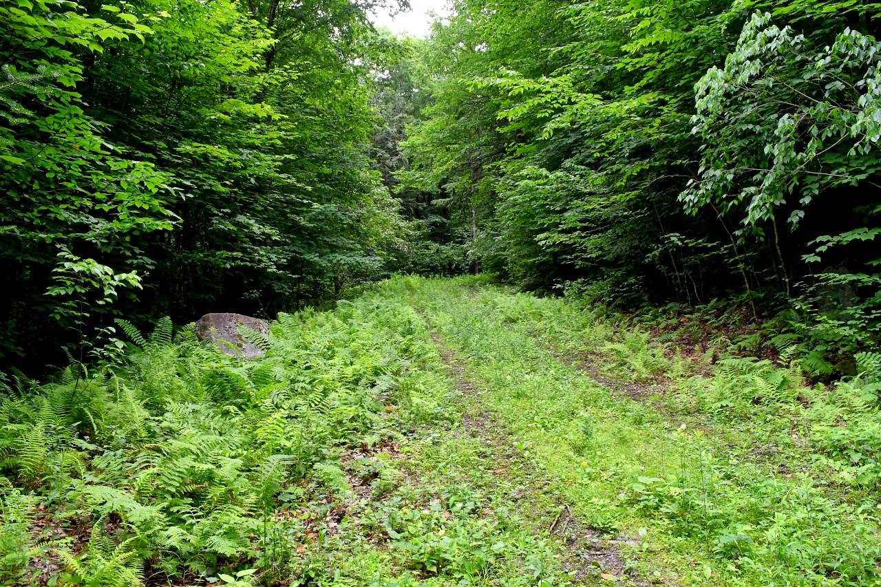 445 Moss Brook Road Peru, VT 05152 - Photo 5 of 13 Gallery Image 5