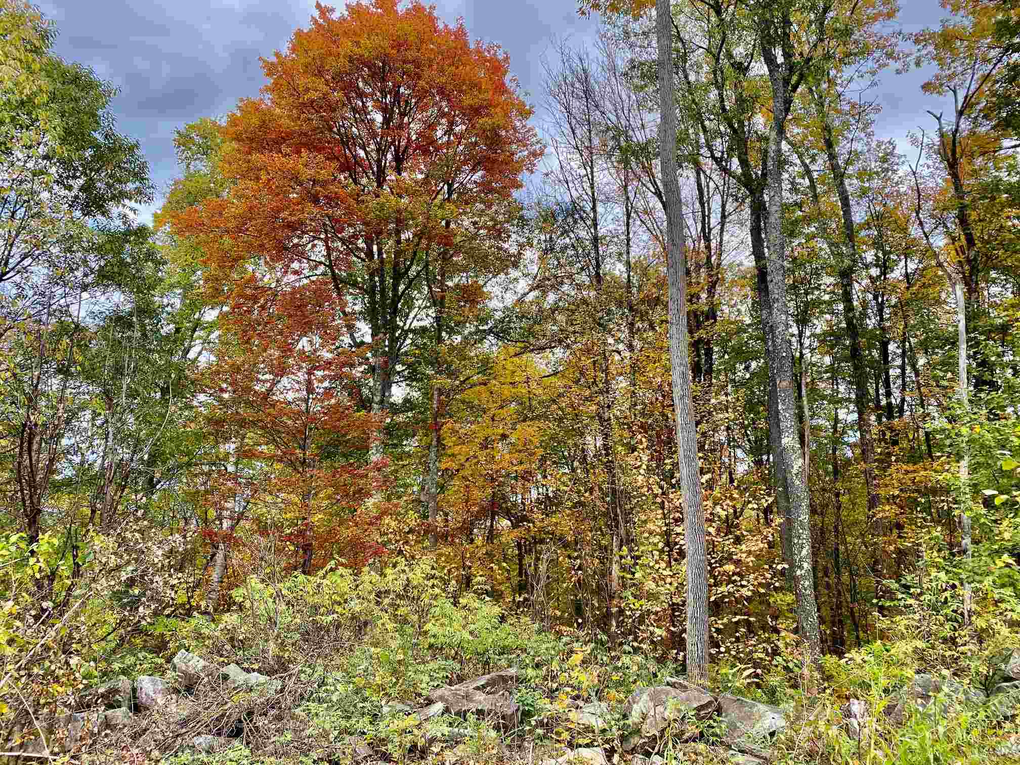 445 Moss Brook Road Peru, VT 05152 - Photo 6 of 13 Gallery Image 6