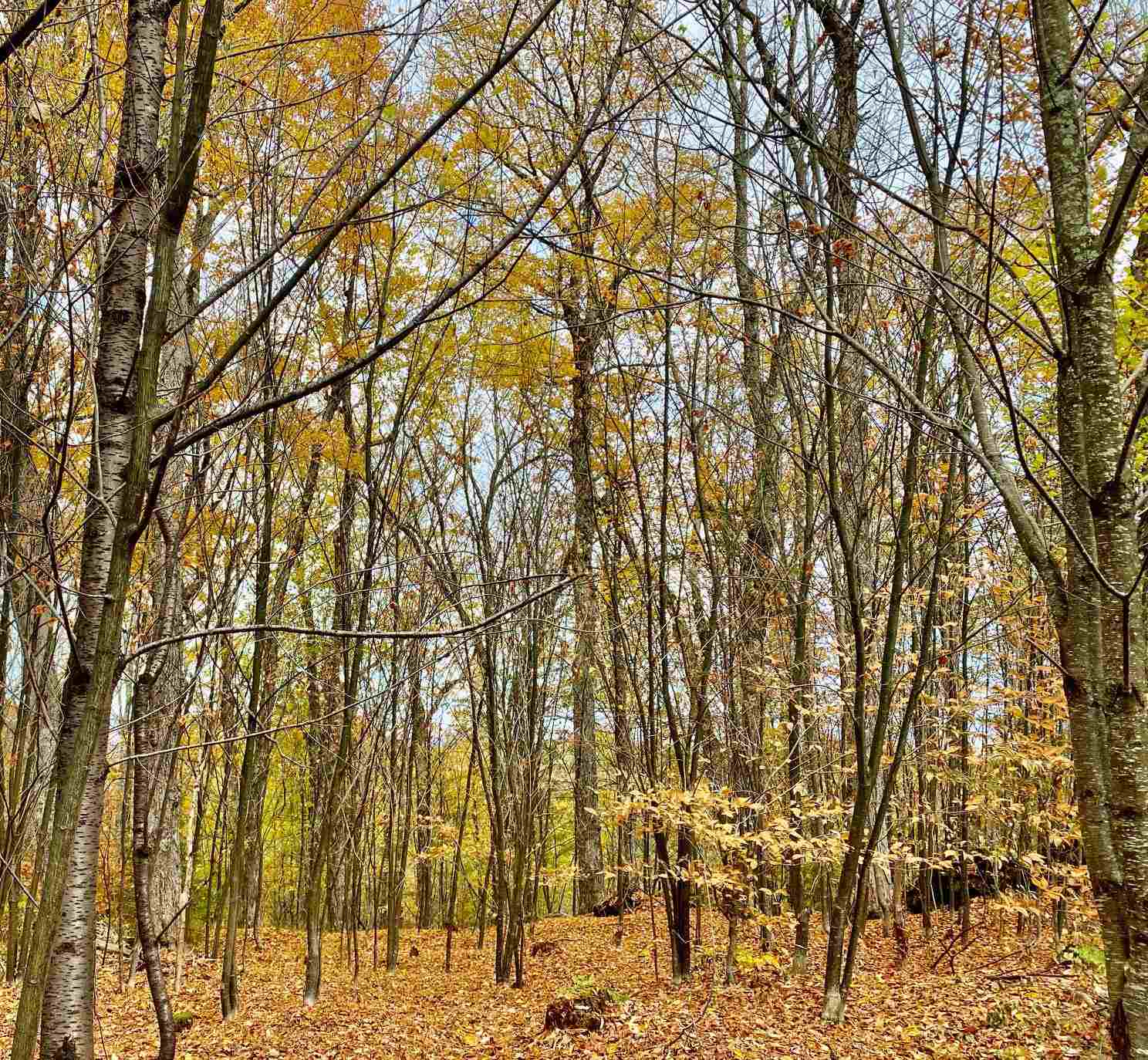 445 Moss Brook Road Peru, VT 05152 - Photo 8 of 13 Gallery Image 8