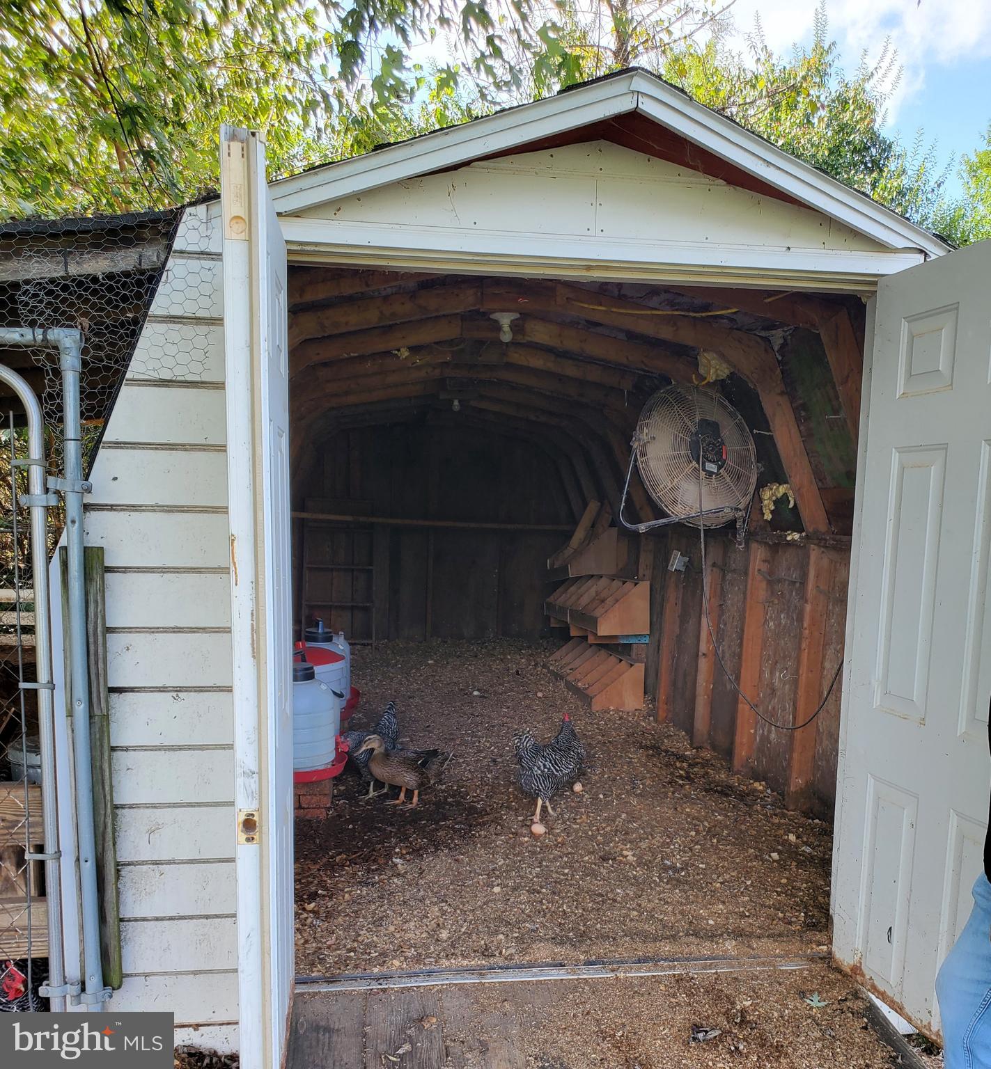 371 Ruebuck Road Clear Brook, VA 22624 - Photo 16 of 49 Inside chicken coop