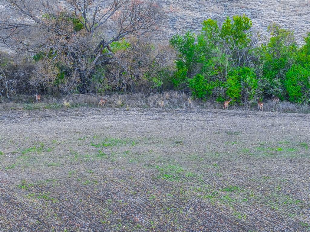 35 Interstate 35 Troy, TX 76579 - Photo 20 of 32