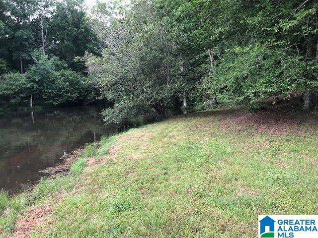 577 Wright Way Drive Wedowee, AL 36278 - Photo 39 of 39