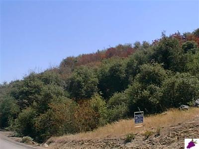 0 Longview Road Squaw Valley, CA 93675 - Photo 3 of 5 Gallery Image 3