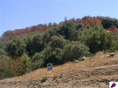 0 Longview Road Squaw Valley, CA 93675 - Photo 4 of 5 Gallery Image 4
