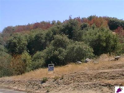 0 Longview Road Squaw Valley, CA 93675 - Photo 5 of 5 Gallery Image 5