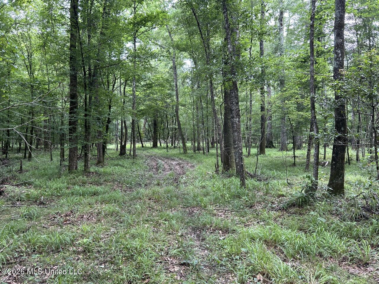 6643 Grange Hall Road Osyka, MS 39657 - Photo 27 of 39 IMG_4460 Large