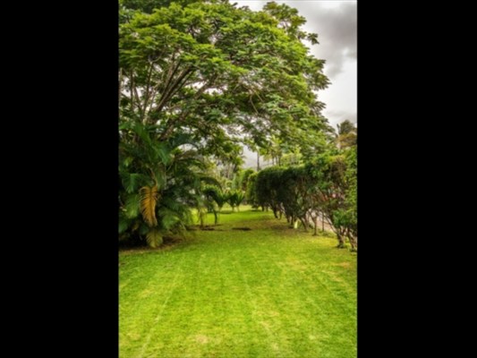 5131 Weke Road Hanalei, HI 96714 - Photo 6 of 9 Gallery Image 6